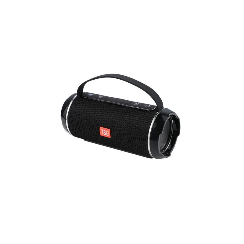Altavoz Portátil T&G 40W Color Gris 110V Tg116C