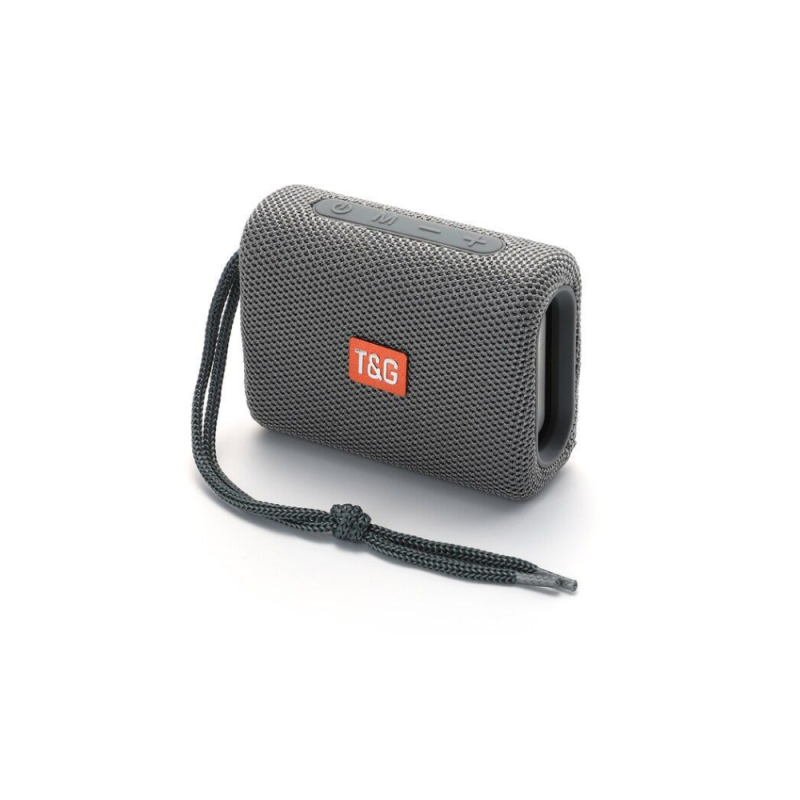 TG313 Portable Wireless Speaker
