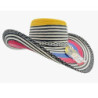 Sombrero Costeño Vallenato Colombia En Nylon Bandera Unisex